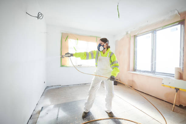 Best Mold Damage Restoration  in London, OH