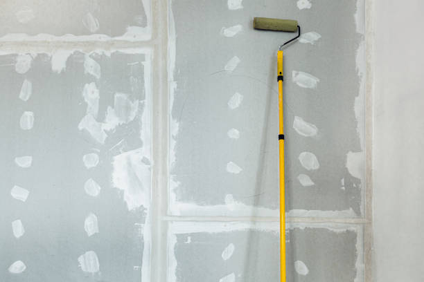 Best Emergency Mold Remediation  in London, OH