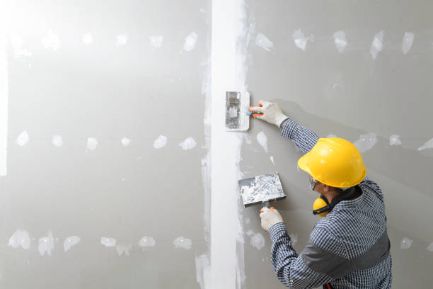 Best Air Quality Testing for Mold Spores  in London, OH